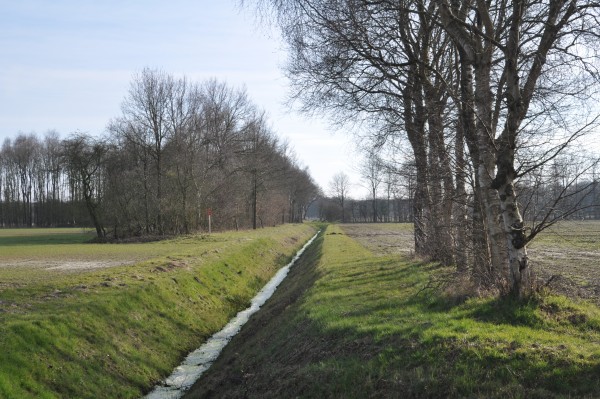 Afbeelding invoegen